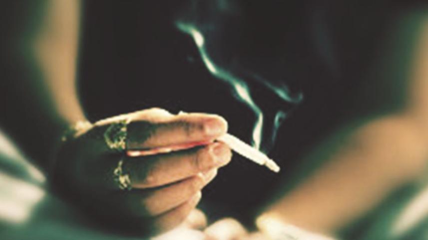 cannabis.jpg