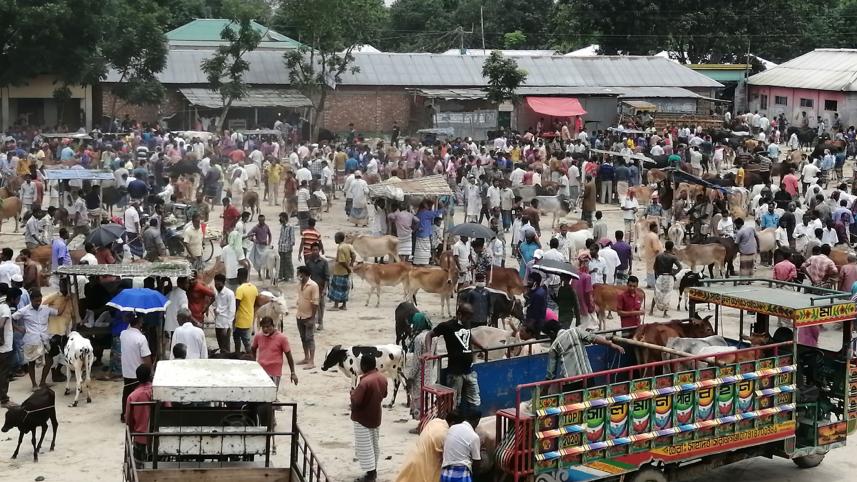 cattle-markets-corona-risk.jpg