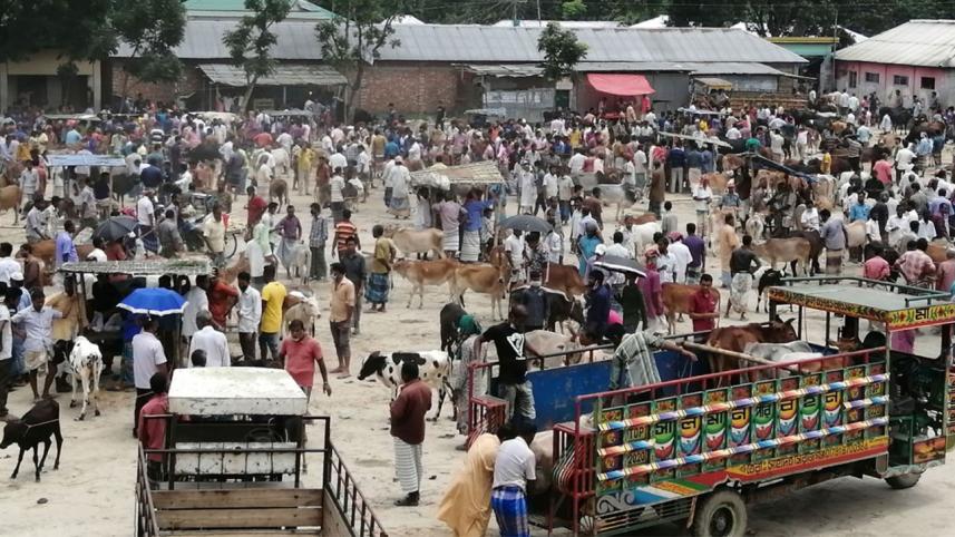 cattle-markets-corona-risk_0 (1).jpg