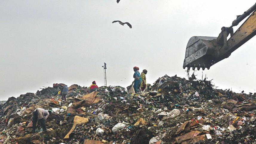 cattle waste.jpg