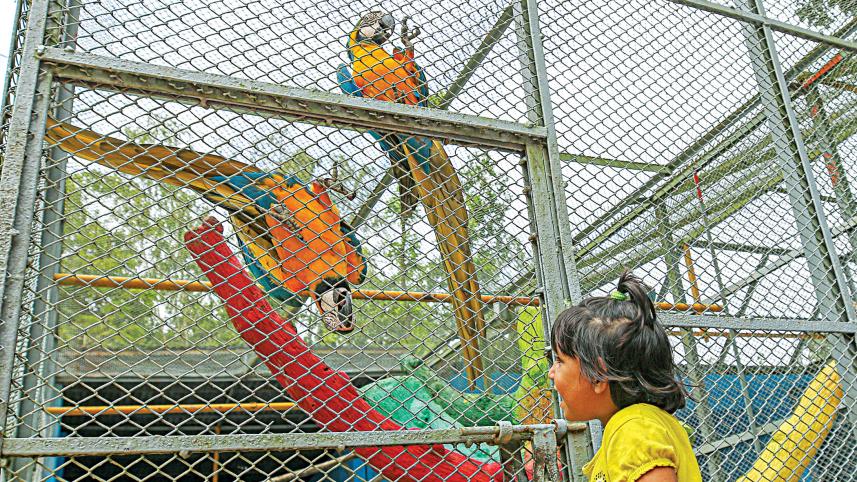 Chattogram-zoo