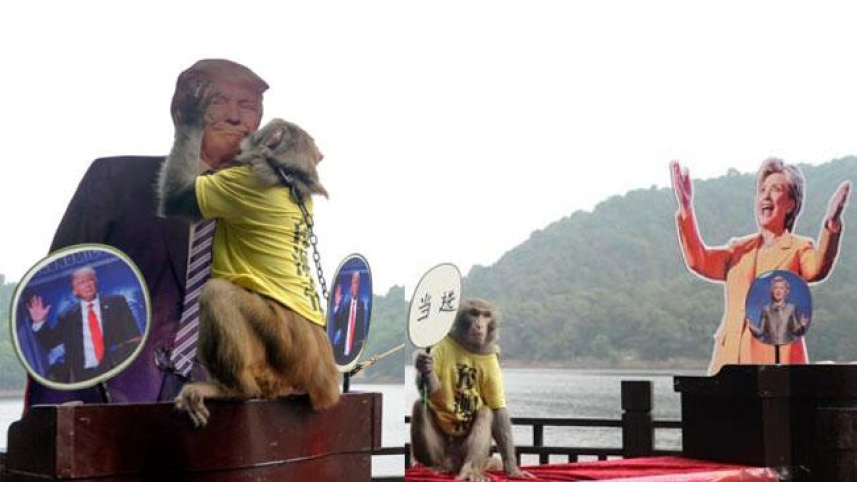 Chinese-monkey.jpg