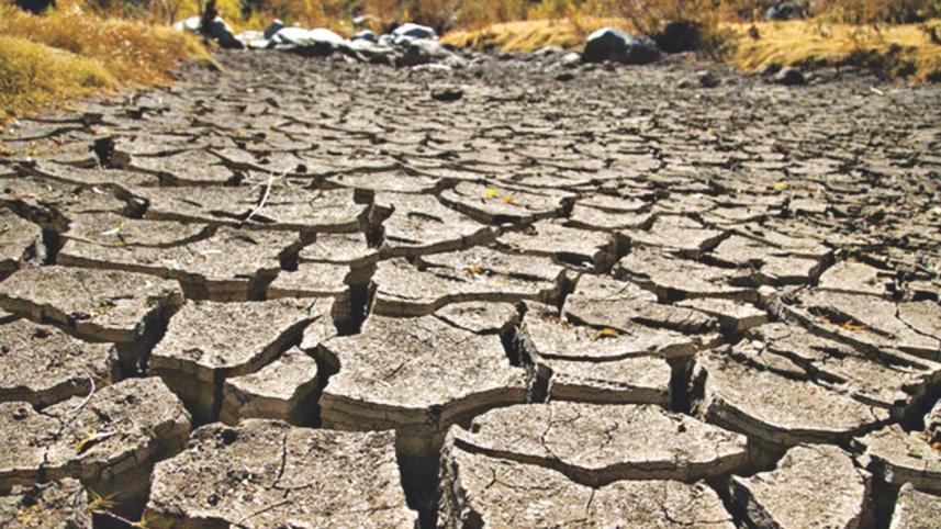 climate.jpg