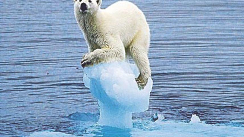 climate change.jpg