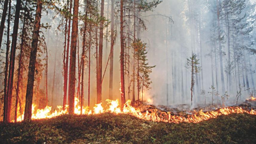 climate change