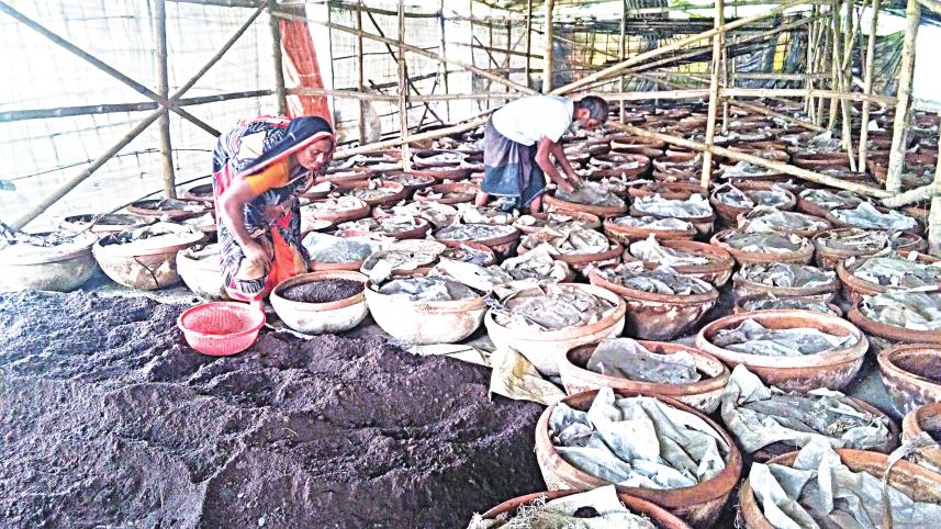 compost.jpg