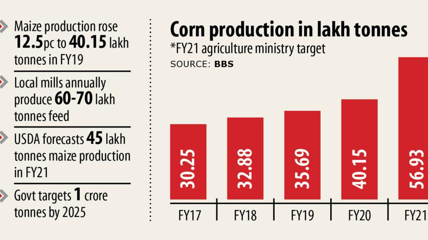 corn-production.jpg