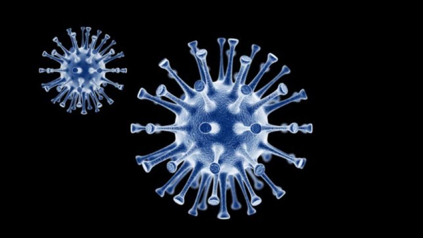 Coronavirus