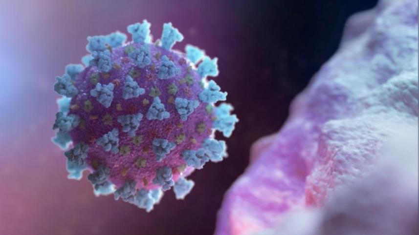 coronavirus_covid19.jpg