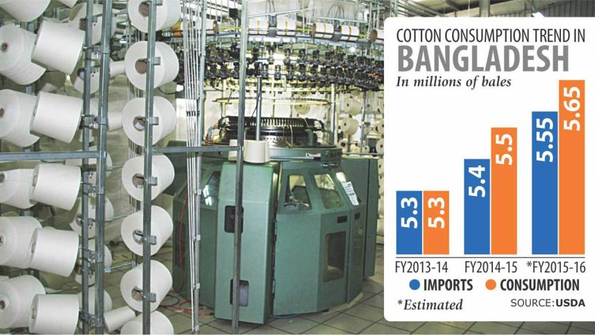 cotton.jpg