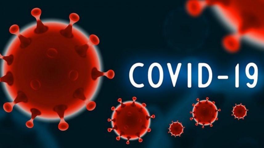 covid-19