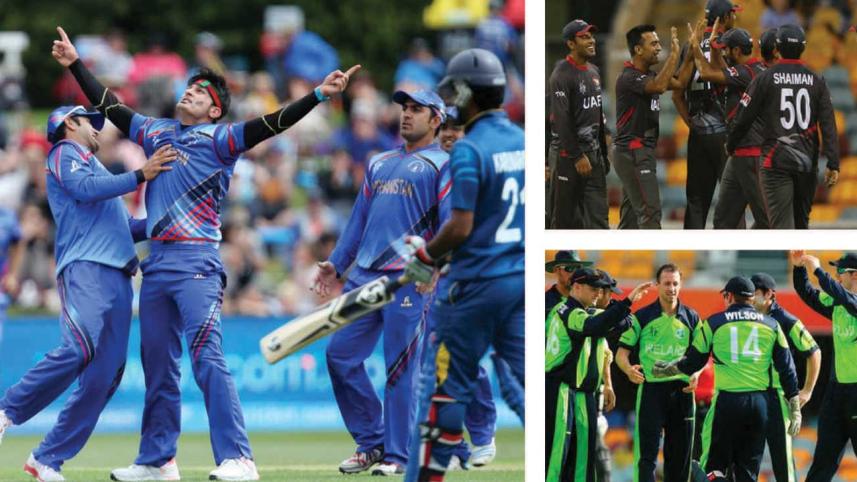 Cricket