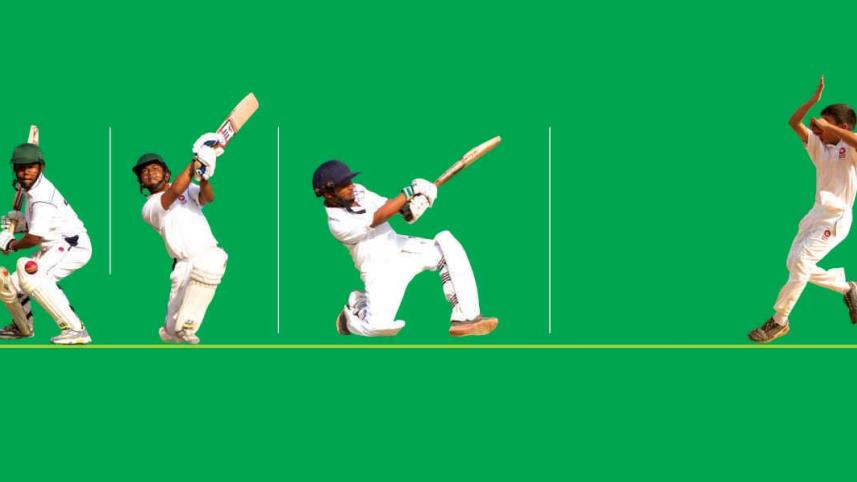 cricket0.jpg