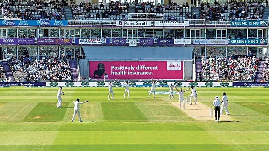 cricket.jpg