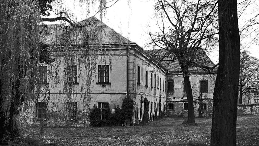 Daunting House
