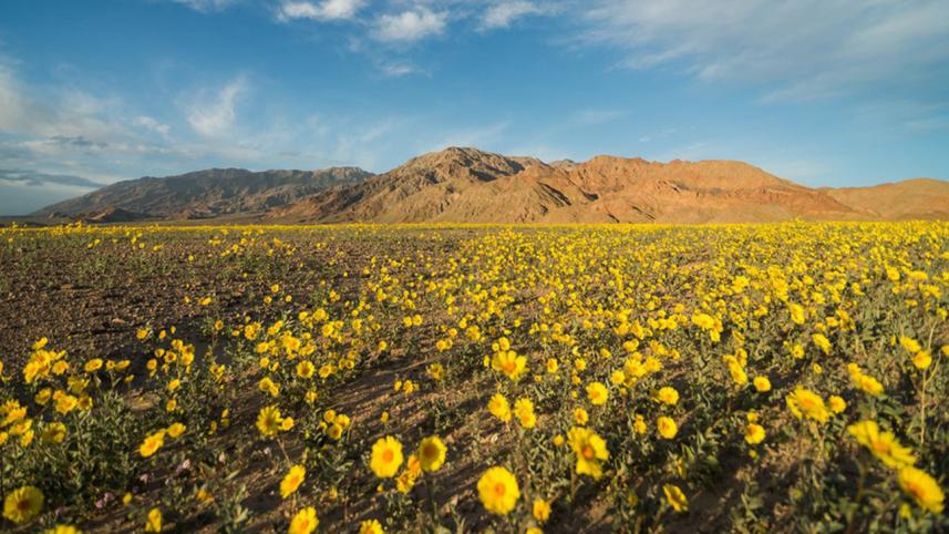 Death-Valley-1WB.jpg
