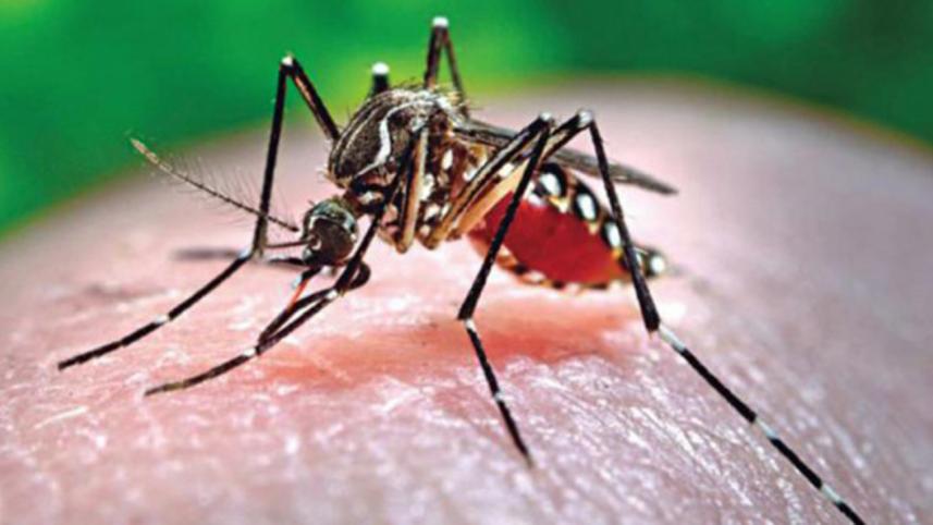 Dengue fever prevention in Bangladesh