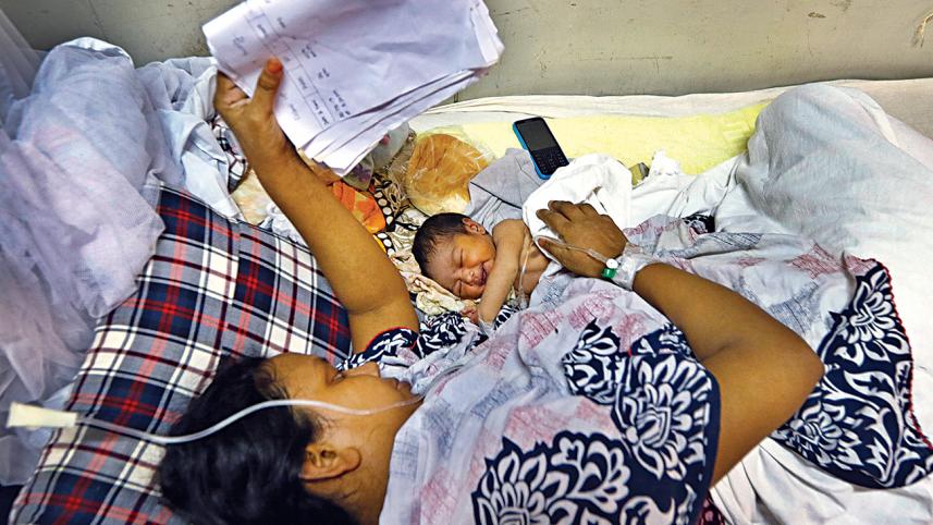 Dengue.jpg