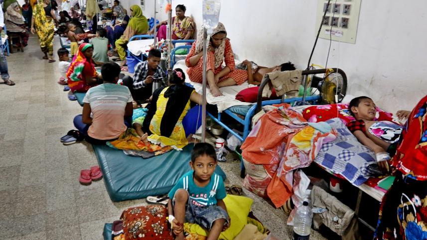 Dengue Rattles1.jpg