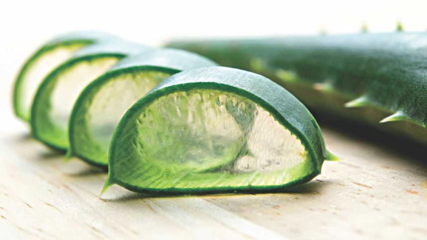 Do you Aloe Vera much