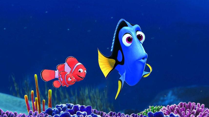 dory.jpg
