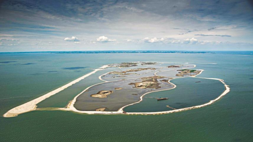 dutch island for wildlife.jpg