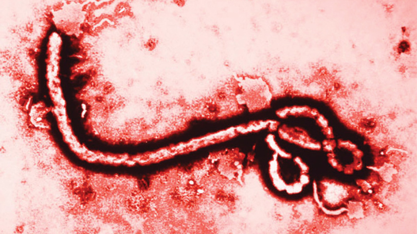 ebola .jpg
