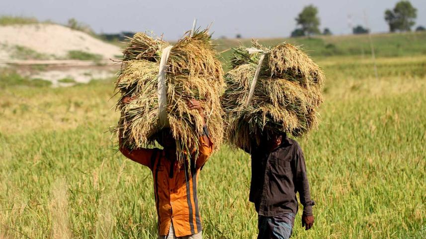 farm-loan.jpg