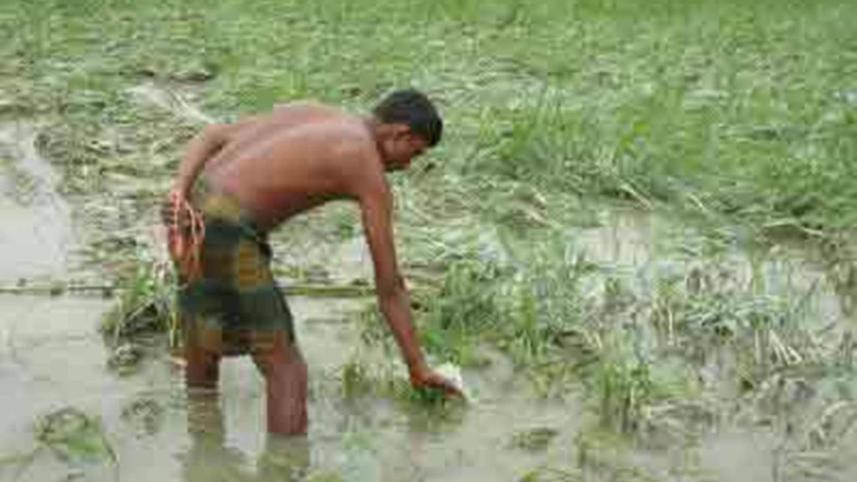 farmer