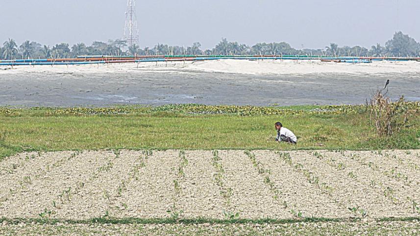 farmer working