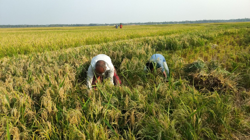 Farmers-given-full-support.jpg