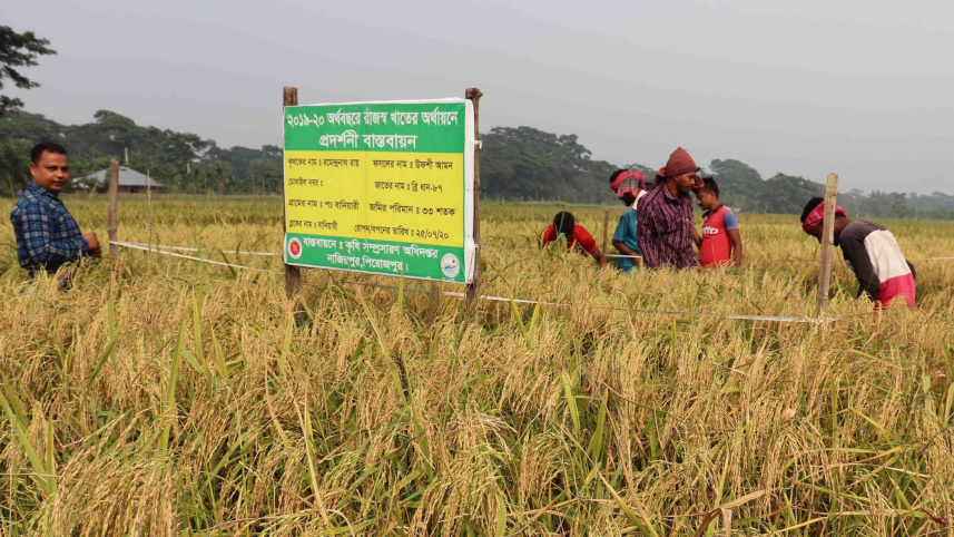 Farmers-participating.jpg