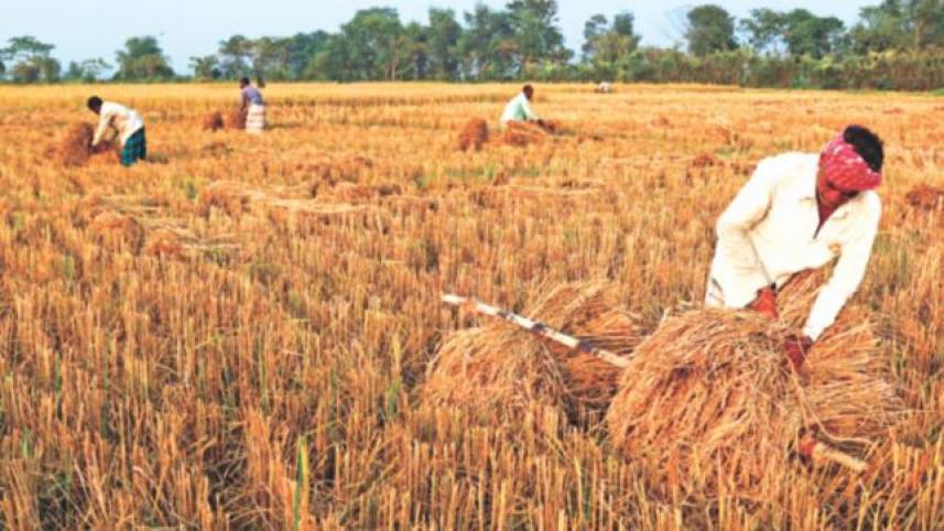 farmers_harvesting.jpg