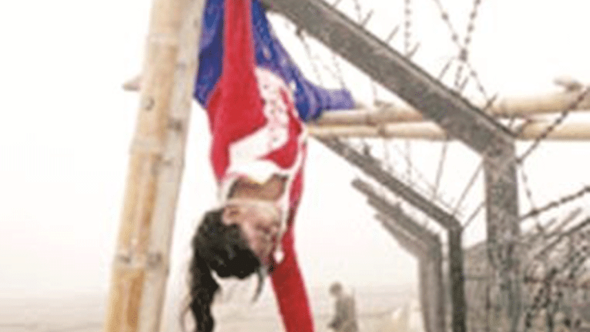 Felani1-wb.gif