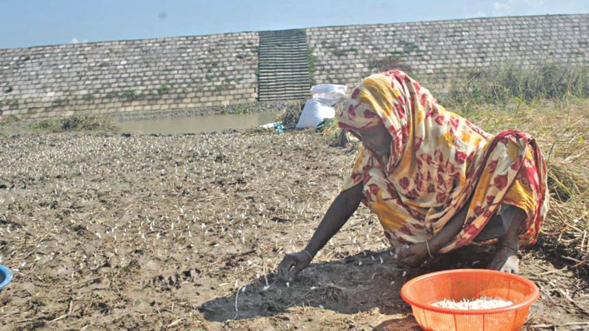 female farmer