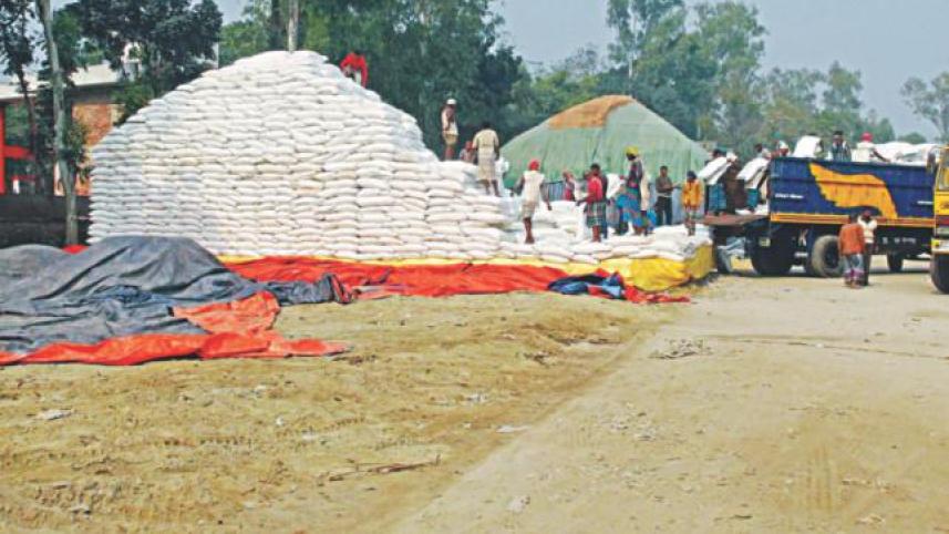 urea fertiliser