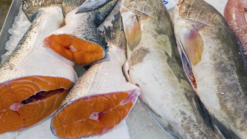 fish.jpg