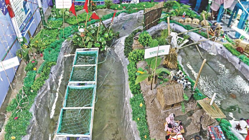 Fish Fair1.jpg