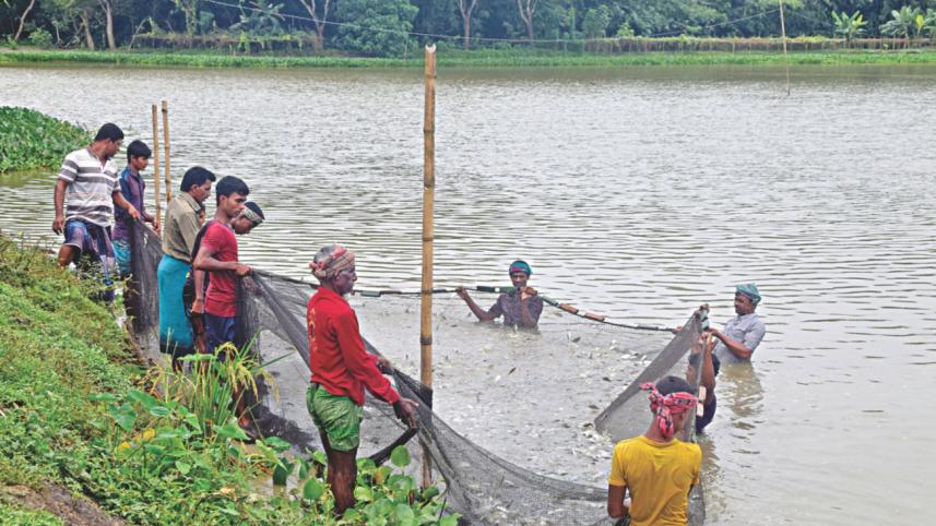 fish farming.jpg