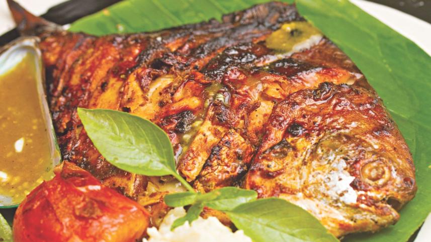 Fish Favourites