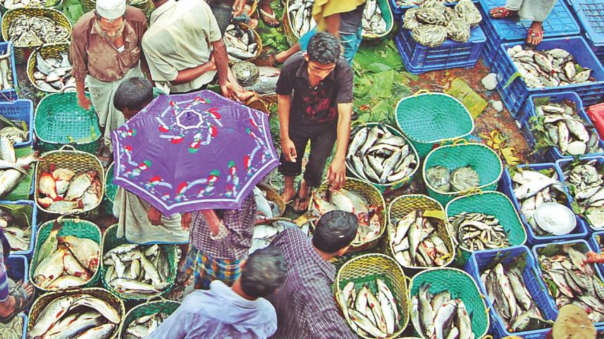 Fisheryghat 1.jpg