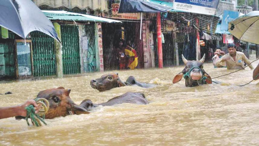 flood 1.jpg