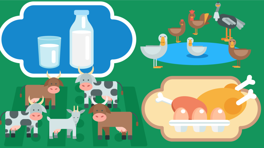 food