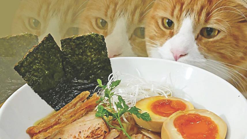 Food Channels.jpg