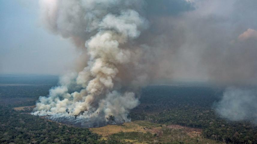 Forest fire.jpg
