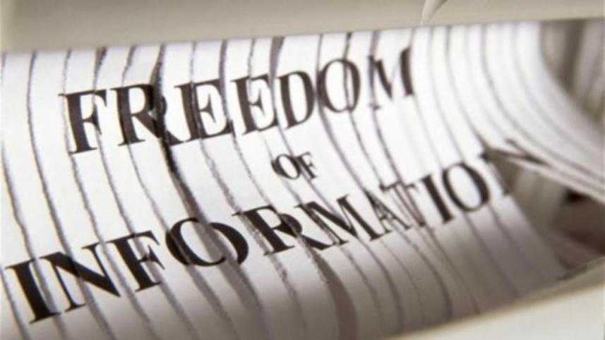 Freedom.jpg