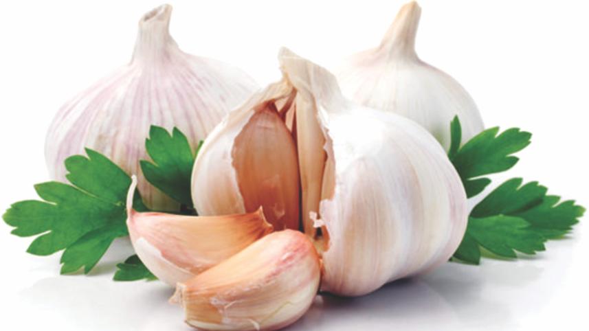 garlic.jpg