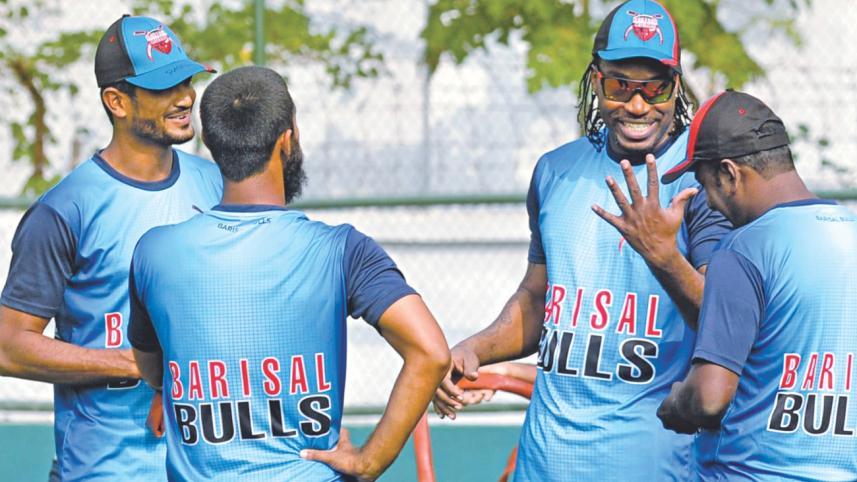 gayle.jpg