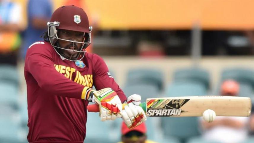 Gayle_1.jpg