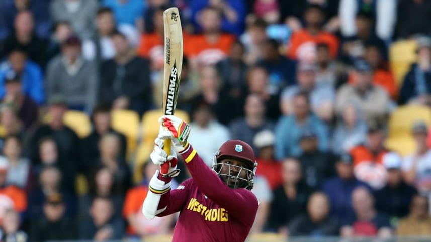 Gayle 2.jpg